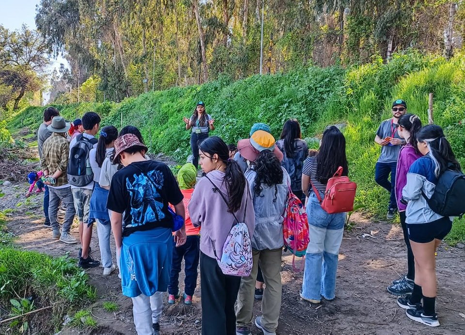 Verde Nativo — actividad