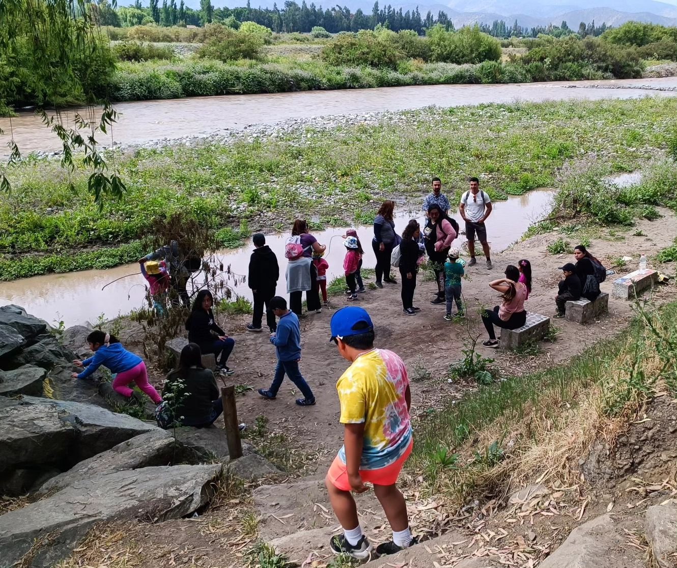 Verde Nativo — actividad